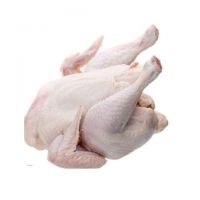 Halal whole chicken, Brazil frozen whole chicken suppliers, frozen whole chicken for export