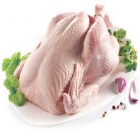 Frozen whole chicken for sale Bulk frozen whole chicken/ Halal frozen chicken/ chicken feet