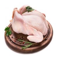 Whole Frozen Chicken and Chicken Parts, Halal Frozen Chicken, Quality Whole Chicken, Frozen Chicken, Export Quality Chicken