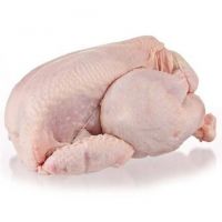 High quality frozen whole chicken, chicken feet/ Chicken wings for export