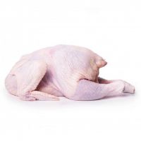 Halal whole chicken frozen whole chicken suppliers frozen whole chicken/ Chicken feet and paws for export to China