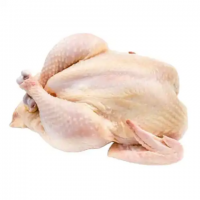 Whole Frozen Chicken ,Buy Halal Whole Frozen Chicken, Wholesale Whole Frozen Chicken for sale 