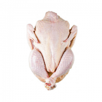 Halal whole chicken frozen whole chicken suppliers from Brazil/ frozen chicken parts, chicken paws 