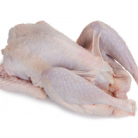 High Quality Grade Frozen Whole Chicken/ Chicken Wings, Chicken Paws for export to China