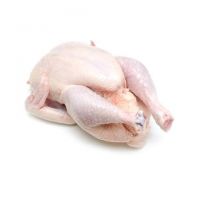 Wholesale Halal Frozen Chicken Feet/ Chicken Paws/ Chicken Leg Quarter/Whole chicken for export 