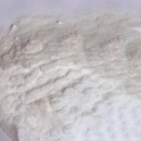  High Quality Food Additive 99% Sodium Diacetate powder 126-96-5