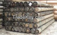 WOOD POLES for Electricity & Telecom Lines