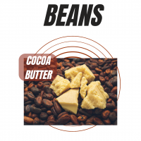 https://ar.tradekey.com/product_view/Cocoa-Beans-Cocoa-Powder-Cocoa-Butter-Cashew-Nuts-And-Coffee-Beans-10313611.html