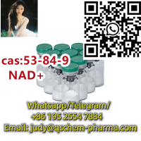 Highest Grade Purity 99% Factory Price High Quality Cas 53-84-9 Nad+