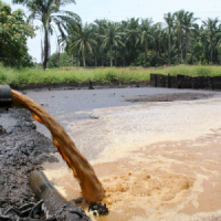Palm Oil Mill Effluent