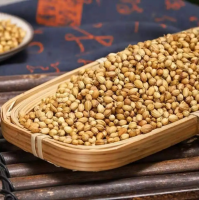 Coriander Seeds