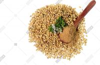Coriander seeds