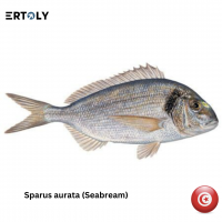 Sea Bream (Sparus Aurata)