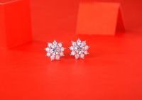 2024 Fashion Earring 18k Gold Plated Silver 0.3/0.5/1 Ct D Color Vvs Moissanite Diamond Earring