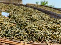 China Supplier Of  Ripe Pu-erh Tea