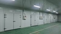 The Starlight T Series (natural Gas Drying Room)