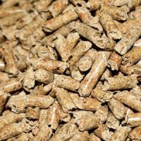 Woody And Non-woody Biomass