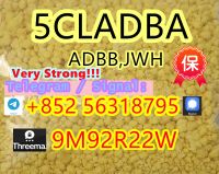 5cladba, ADBB high quality supplier 100% purity, safe transportation.