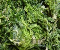 DRIED ULVA LACTUCA