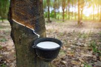 Natural Rubber Co...