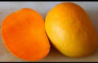 Indian Alphonso Mango