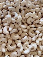 Cashew Kernel WW180 , WW210 , WW240 , WW320, WW450