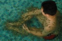 Chinese Doctor Fish Massage&Treatment Project