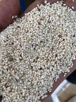 hulled sesame seed