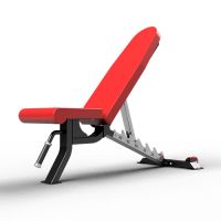 QLI ADJUSTABLE BENCH QAB03