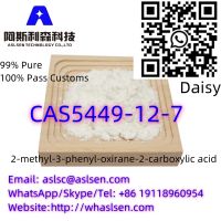 CAS5449-12-7 // 2-methyl-3-phenyl-oxirane-2-carboxylic acid//CAS5449-12-7