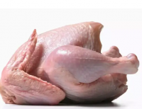 Halal Certified Frozen Whole Chicken For Sale Wholesale Frozen Halal Whole Chicken Frozen