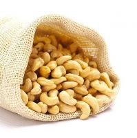 Wholesale Buy Non Additive Agricultural Products Original Raw Cash Cashew Nut W320 from Indian Exporter for Sale