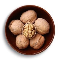 Peeled Kernel Walnuts High Quality Walnut Kernel Brazil Supplier Low Price Light Halves Walnut Kernels