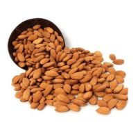 wholesale Bulk Buy usa raw dry fruits almond nuts in bulk california almonds price