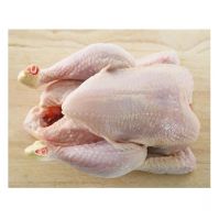 buy high quality frozen chicken buy high quality 3 chicken joint wings for sale