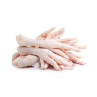 Wholesale Price Halal Frozen Chicken Feet | Frozen Chicken Meat Bulk Stock Available For Sale 