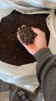 Clove