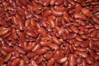 Kidney Beans