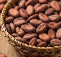 cocoa beans