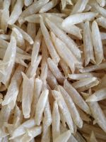 DRIED FISH MAW