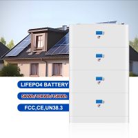 6000 Cycles Lifespan 16S 100A Li-ion BMS with Bluetooth, Active Balance Protection Board for LiFePO4 Solar Batteries