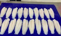 Pangasius Fillets