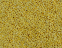 Green lentils, Yellow lentils, Red lentils