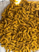 Premium Organic Turmeric spices