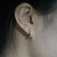S925 Silver Moissanite Earrings Round Micro Earrings