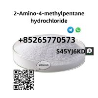 https://ar.tradekey.com/product_view/Safe-Shipping-2-amino-4-methylpentane-Hydrochloride-Cas-71776-70-7-10288124.html