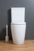 CT10506 toilet