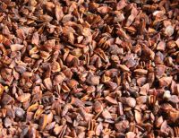 Broken Star Aniseed Best Rate From Vietnam 