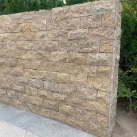 Tiger skin Yellow cultured stone mushroom surface for garden