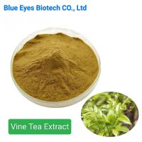 Vine tea P.E. / Vine Tea Extract